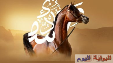 " منظمة الجواد العربي " تعلن إنطلاق فعاليات مهرجان الرياض .. جوادي