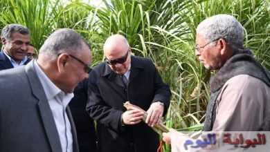  محافظ قنا يتفقد أول حقل إرشادي لزراعة محصول قصب السكر بقرية المخادمة