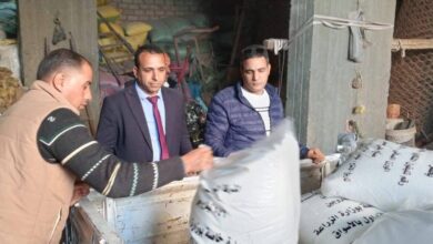 ضبط و تحرير 17 مخالفة خلال حملة رقابية مكبرة بمركز بني مزار بالمنيا