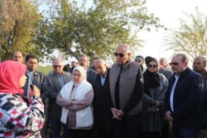 محافظ المنيا يشهد حصاد محصول البطاطس بقرية بردنوها بمطاي