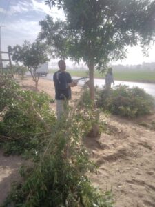 رئاسة مركز مطاى متابعه أعمال النظافه اليوميه بالكورنيش والطريق الدائري