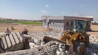 محافظ المنيا: إزالة 1103 حالات تعدٍ على أملاك الدولة والأراضي الزراعية ضمن المرحلة الثانية من الموجة 28