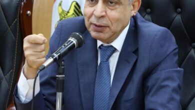 محافظ المنيا: اعتماد المخططات التفصيلية لعدد 3 قرى بديرمواس