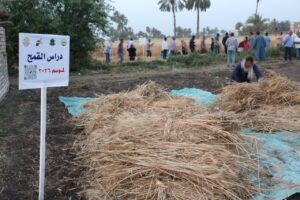 وزيرة التضامن الاجتماعي تلتقي صغار المزارعين المشاركين في مبادرة “ازرع” بالمنيا