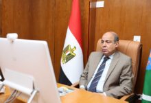 محافظ المنيا يشارك في اجتماع مجلس المحافظين