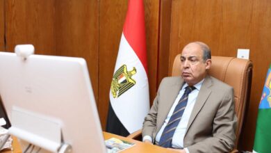 محافظ المنيا يشارك في اجتماع مجلس المحافظين